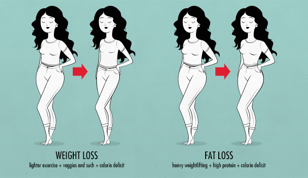 Fat loss vs weight loss